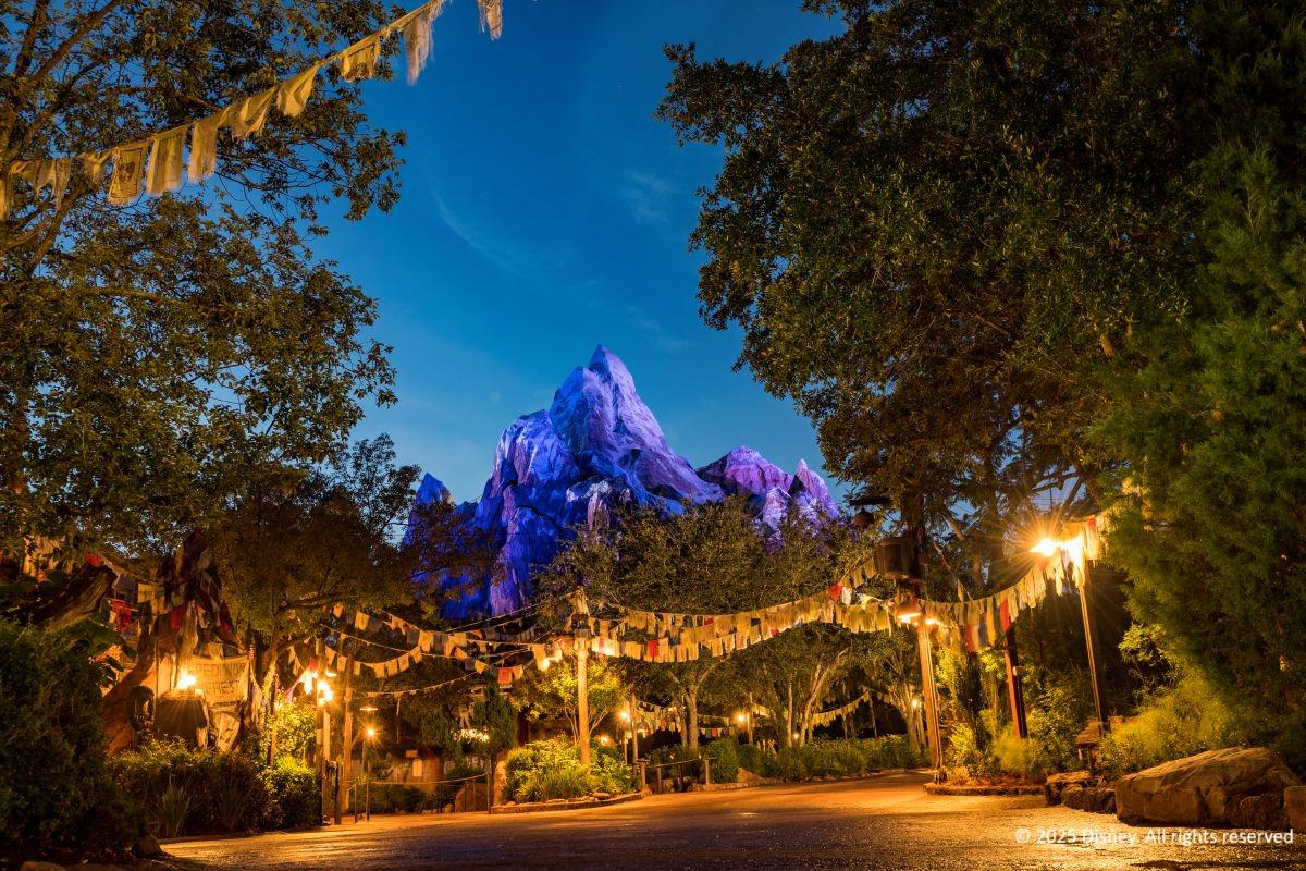 Ingresso Disney 5 dias - Photo 18