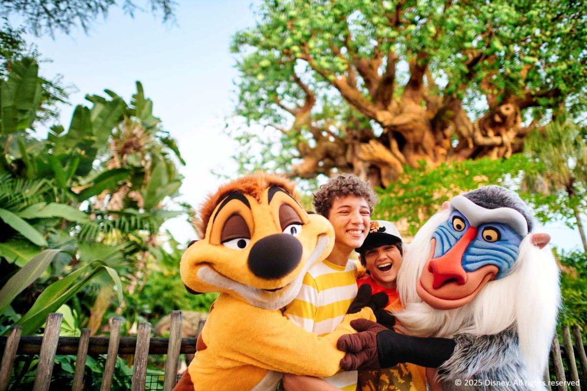 Ingresso Disney 3 dias - Photo 14