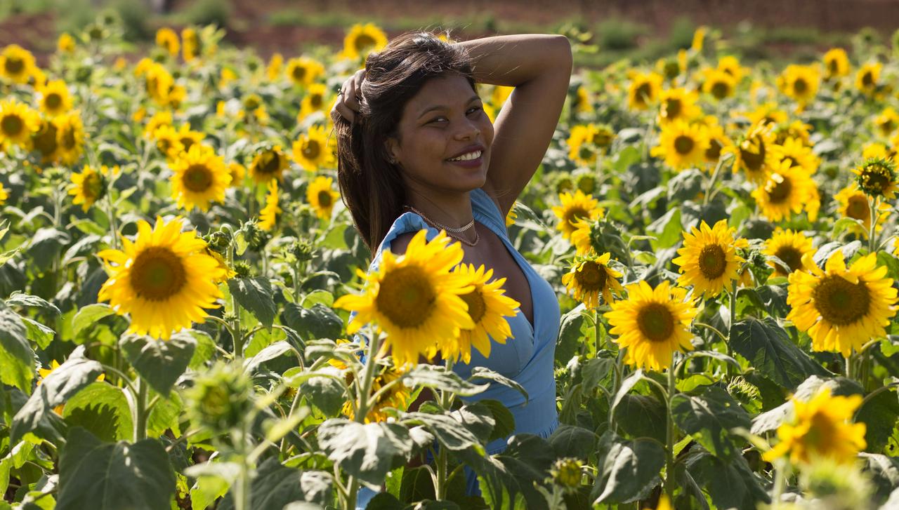 Tour floral: ¡Recorrido por la ciudad de Holambra con visita a los jardines florales! - Photo 4