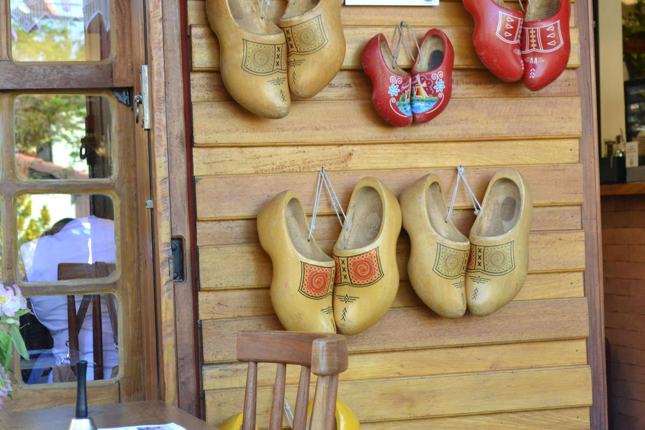 Recorrido completo por Holambra: visita a los jardines florales, al molino de viento, visita guiada por la ciudad y degustación de comida típica holandesa. - Photo 5