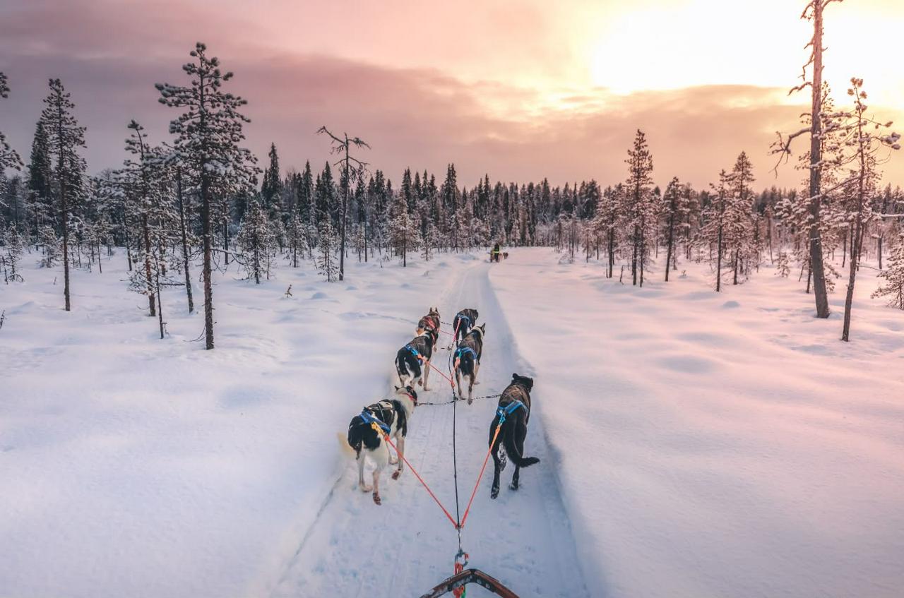 Finlândia Mágica: Huskies, Renas, Auroras e Papai Noel! - Photo 2