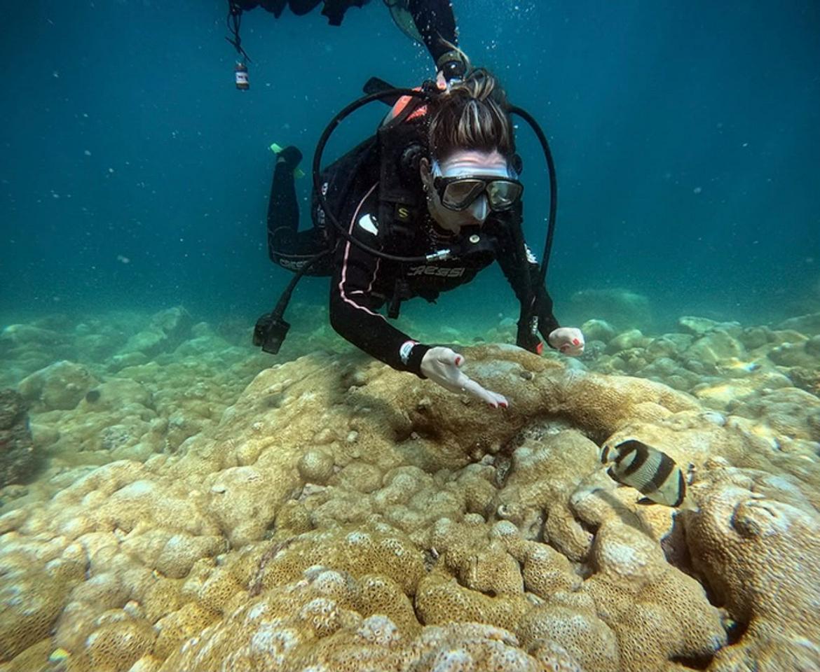 Diving in Arraial do Cabo — with private transfer - Photo 2