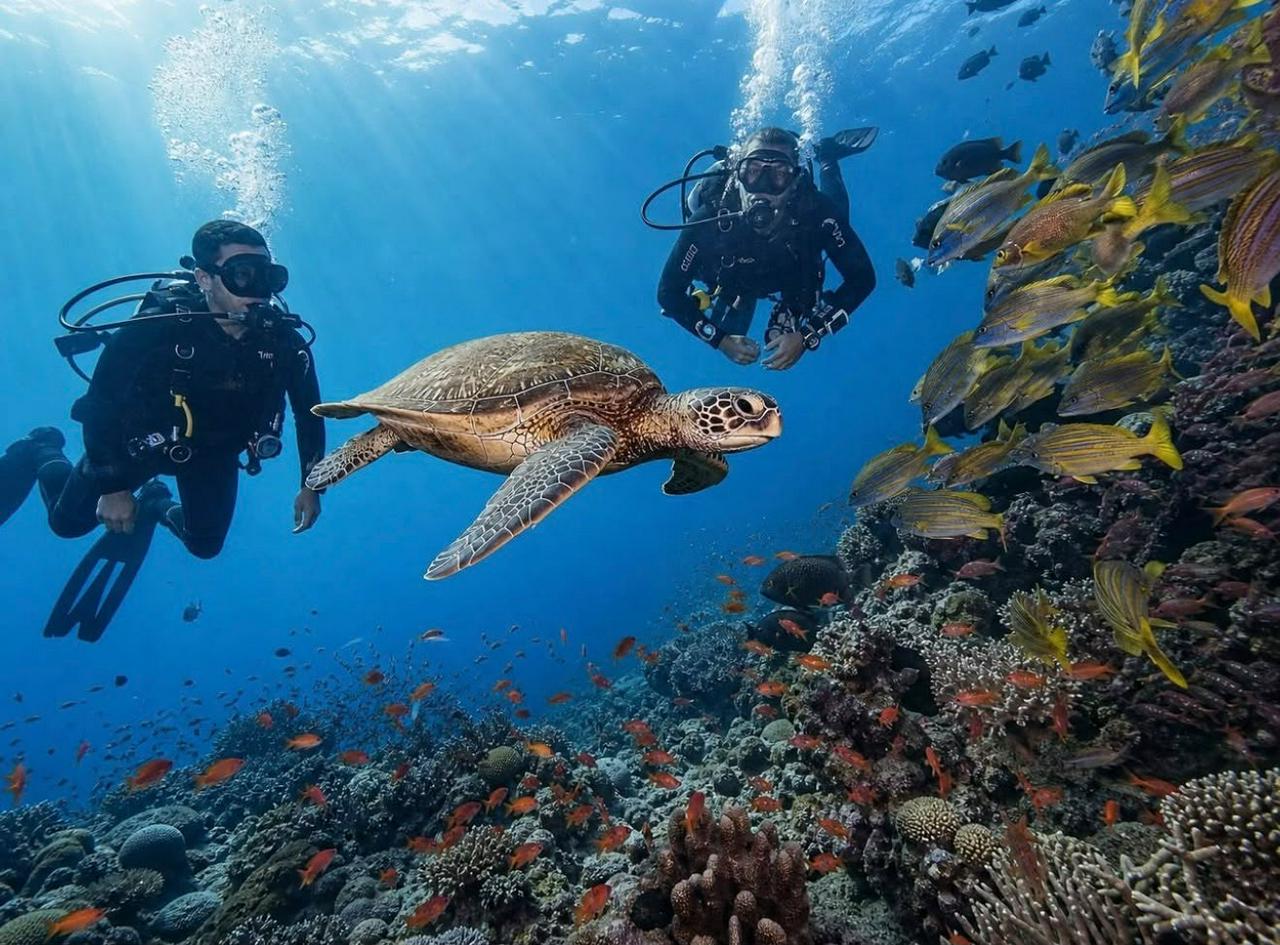 Diving in Arraial do Cabo — with private transfer - Photo 3