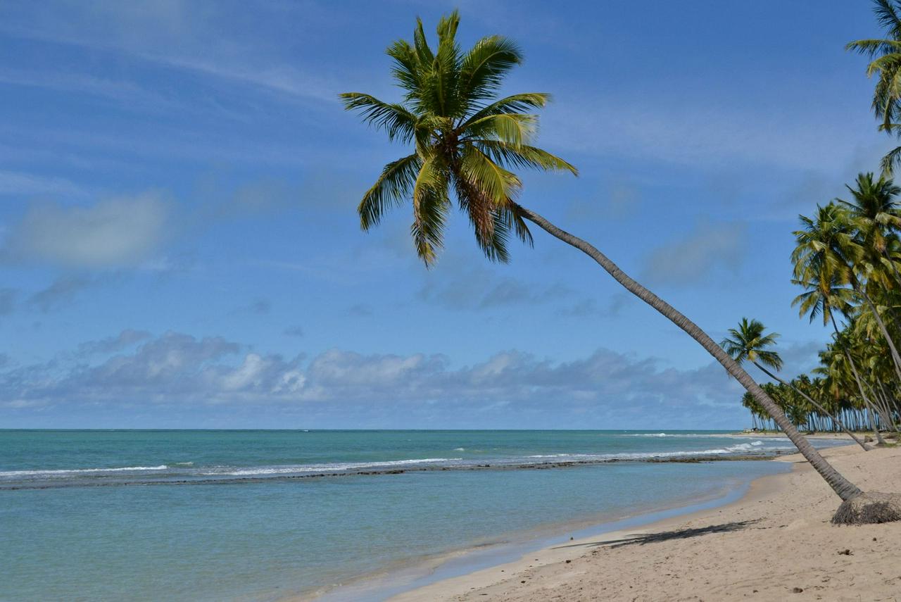 Passeio de um dia na Praia dos Carneiros - com saída de Porto de Galinhas - Photo 2