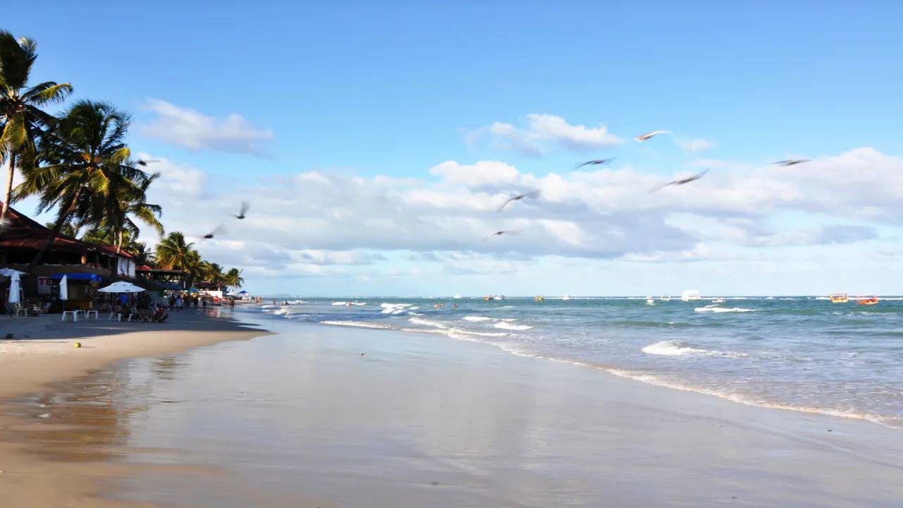 Passeio de um dia em Maragogi - com saída de Porto de Galinhas - Photo 2