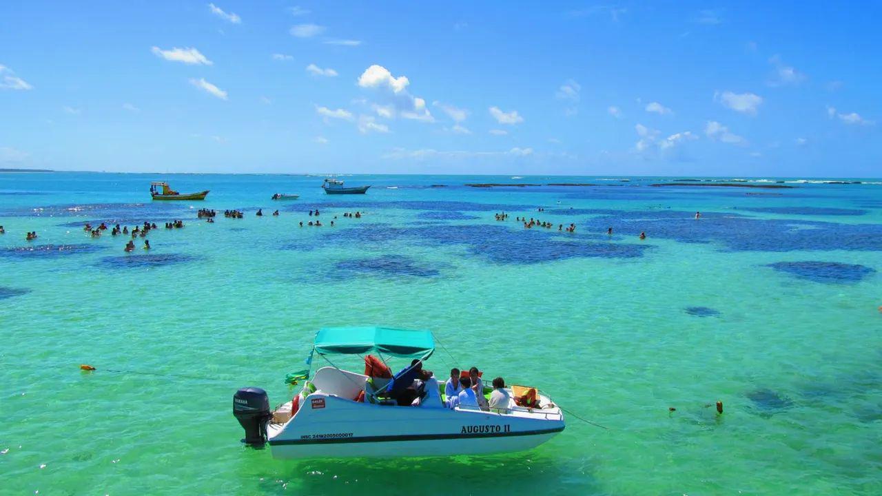 Passeio de um dia em Maragogi - com saída de Porto de Galinhas - Photo 4