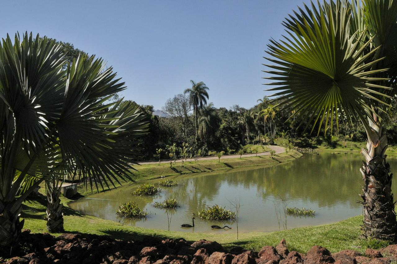 Visita a Inhotim saindo de Belo Horizonte - Photo 10