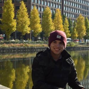LUIS (Official Guide)