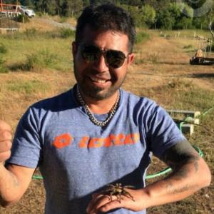 Cristian (Official Guide)