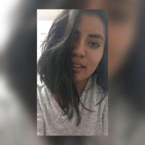 Janet (Guia Oficial)