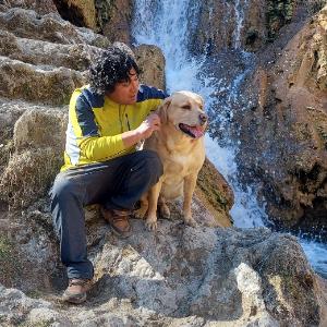 harry (Guia Oficial)